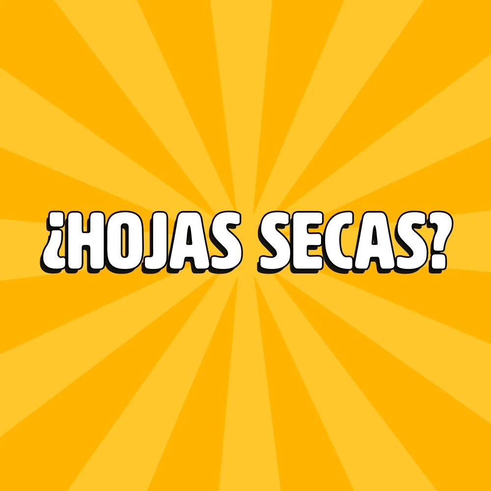 hojas secas en cannabis