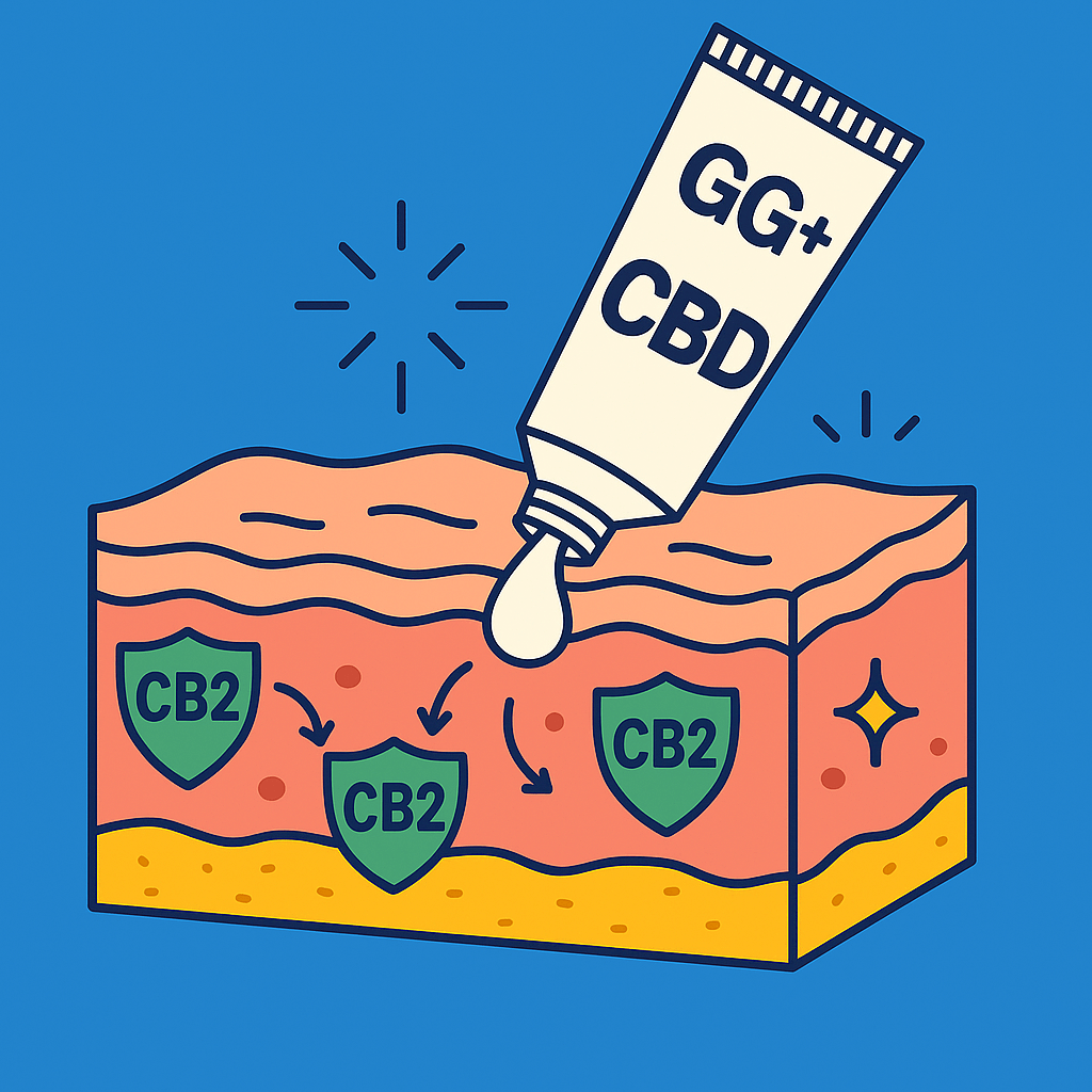 CBD de uso tópico 2 CB2 PIEL