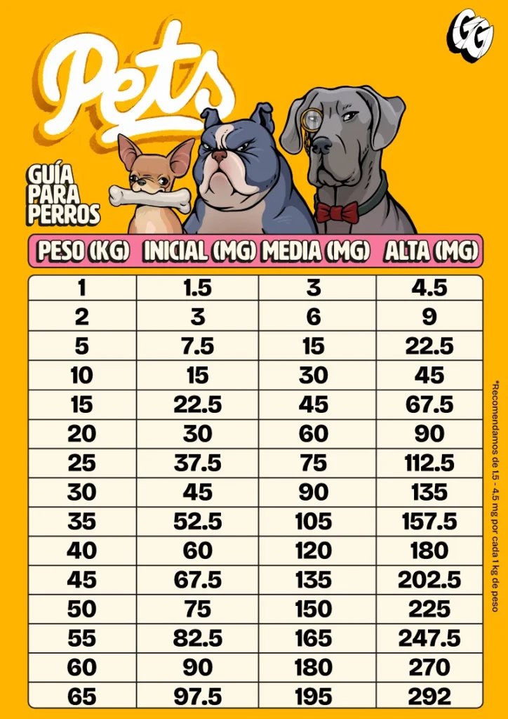 Guia para perros