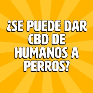 Fertilizantes Raices Cannabis 5 ¿se puede dar cbd de humanos a perros