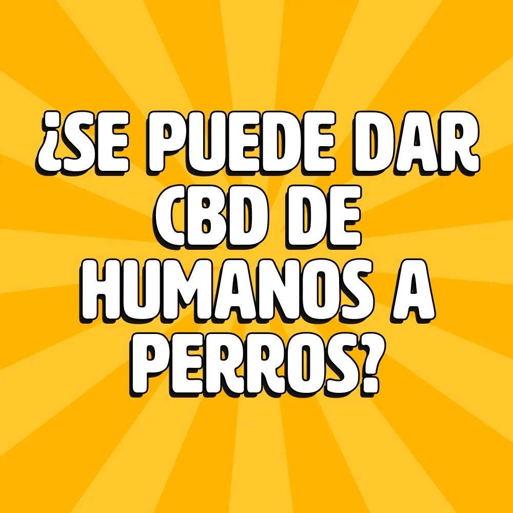 ¿se puede dar cbd de humanos a perros