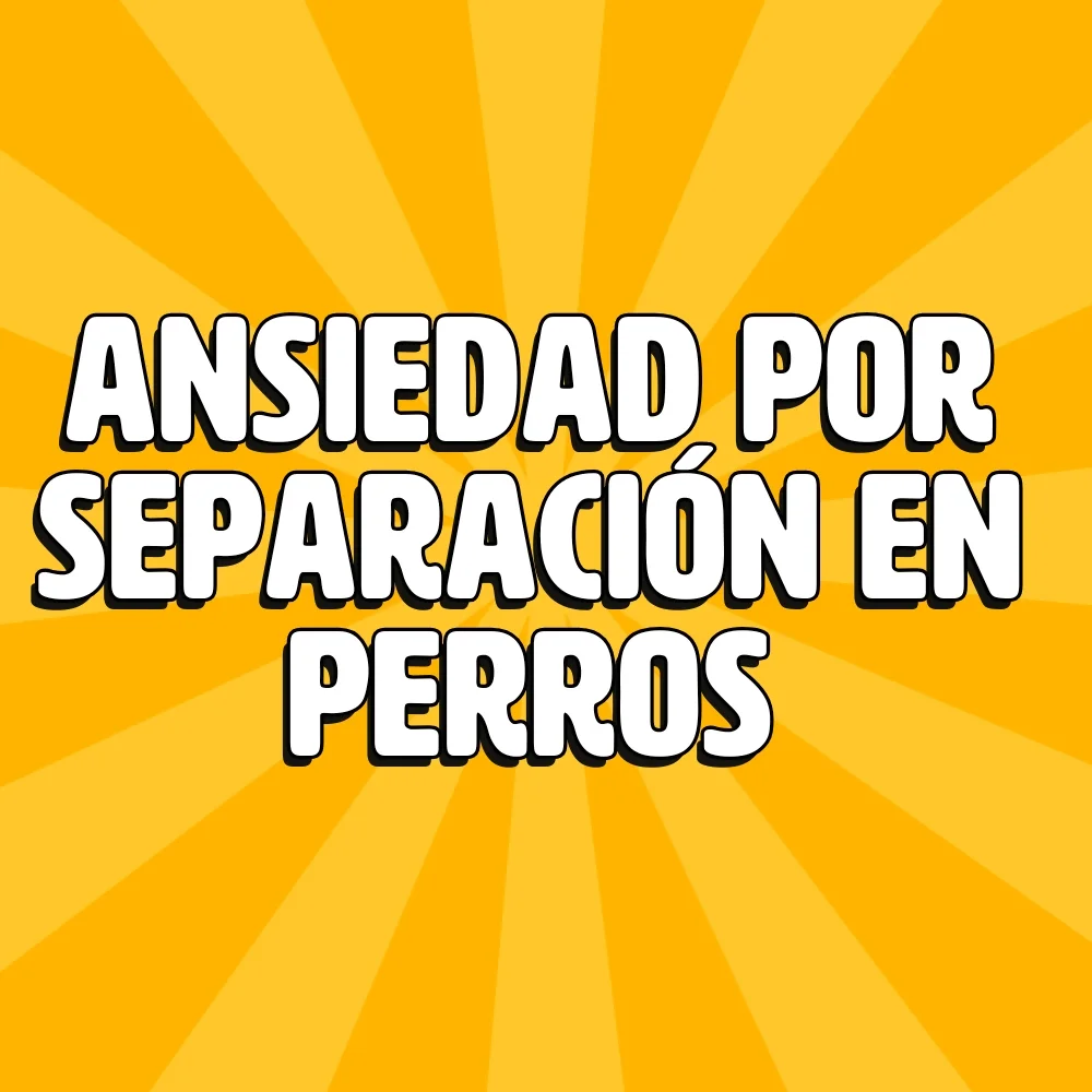 HOME - Copy 30 ansiedad por separacion en perros