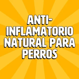 Bálsamos CBD 7 antiinflamatorio natural para perros
