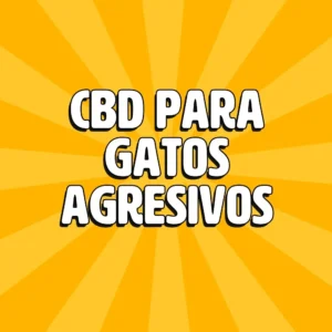 Cremas CBD 19 cbd para gatos agresivos