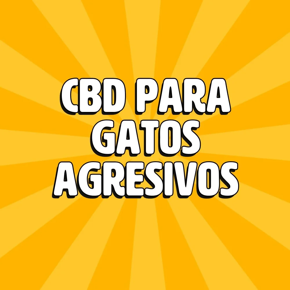 cbd para gatos agresivos