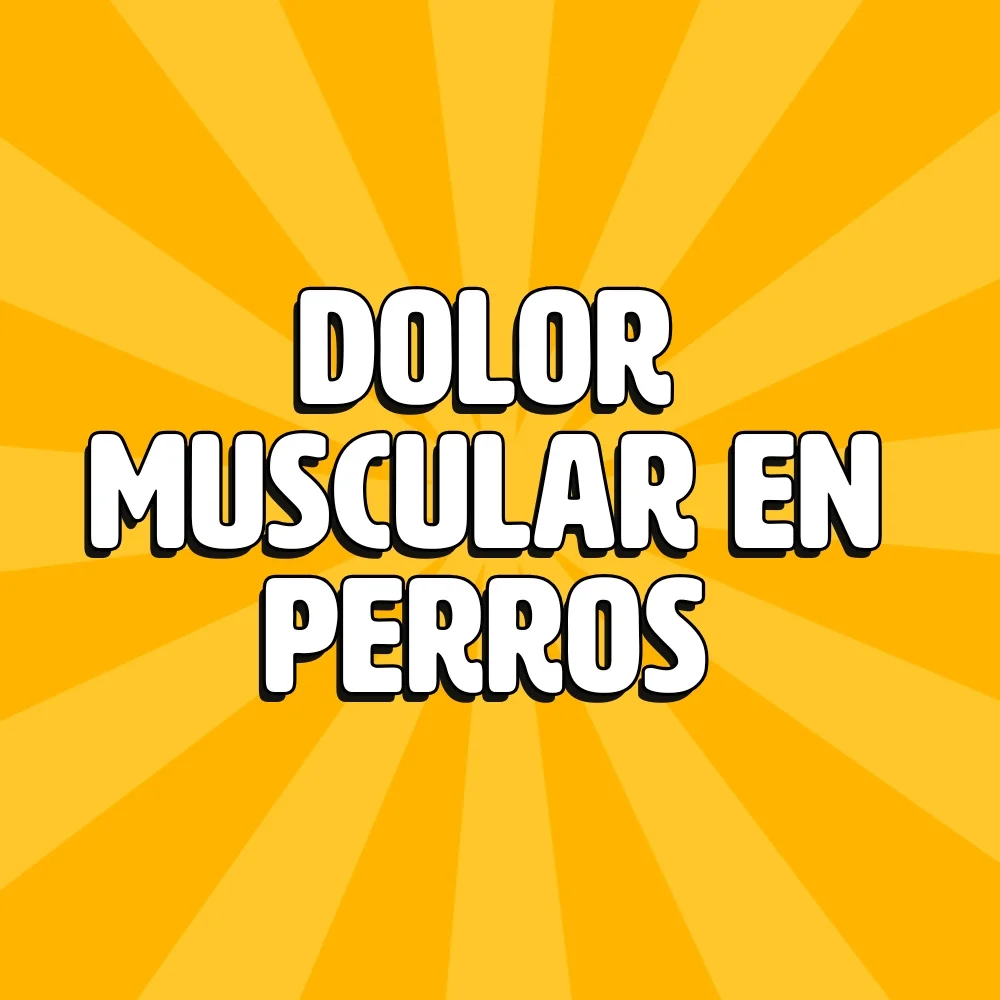 dolor muscular en perros
