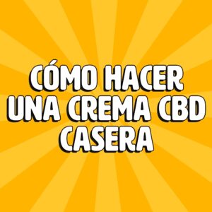 Aceite CBD Broad spectrum 26 como hacer una crema cbd casera