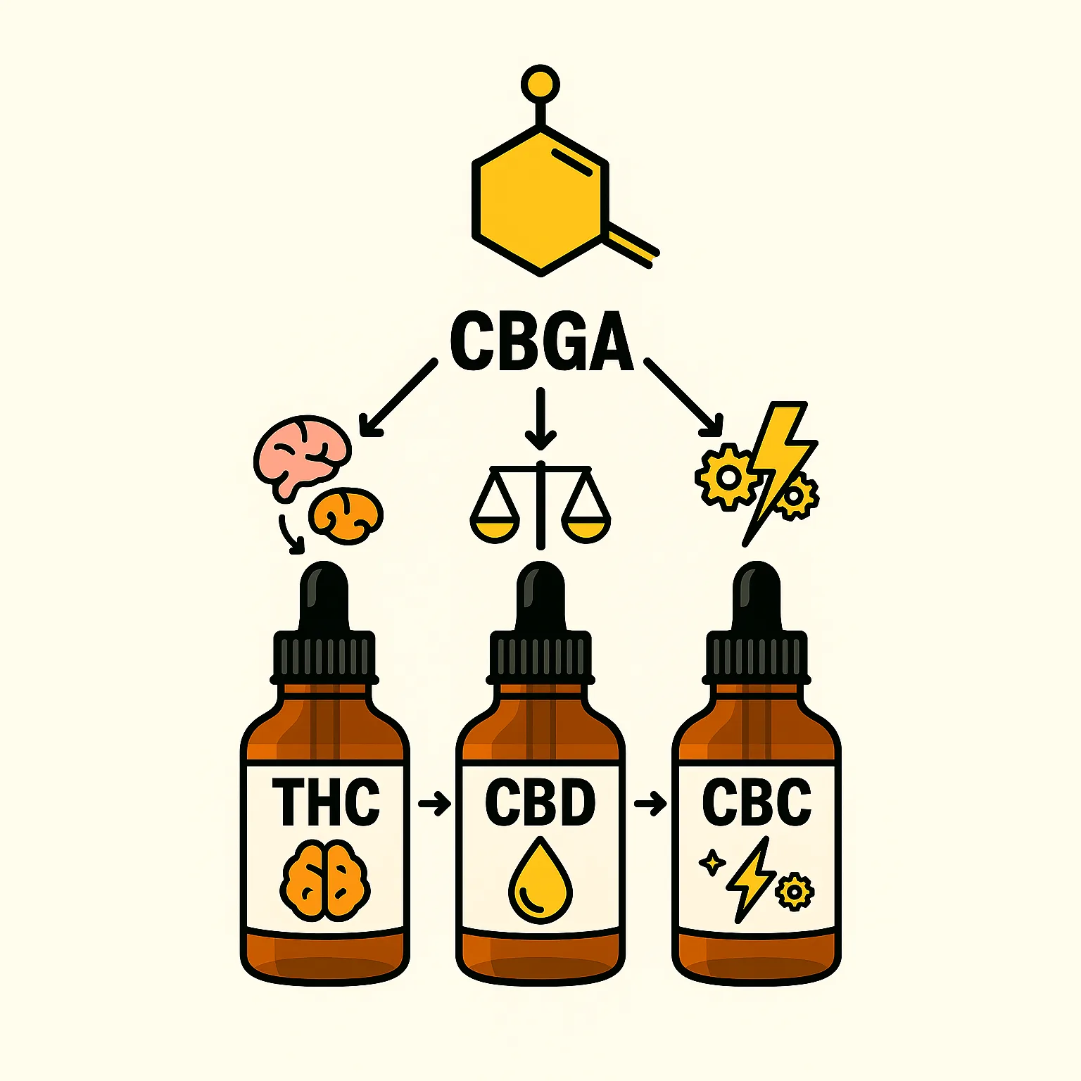 CBG