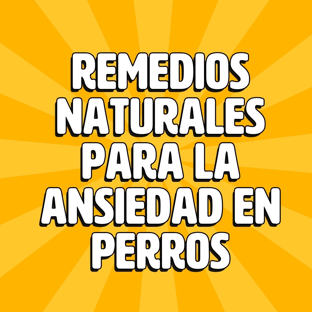 remedios naturales para la ansiedad en perros
