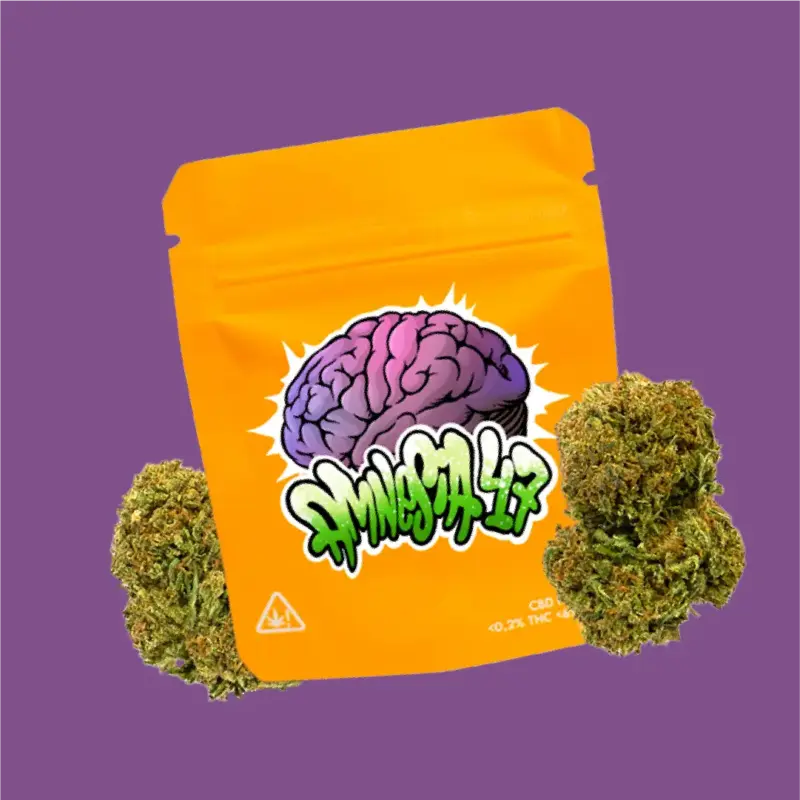AMNESIA CBD 47 | CBD BLUMEN IM FREIEN
