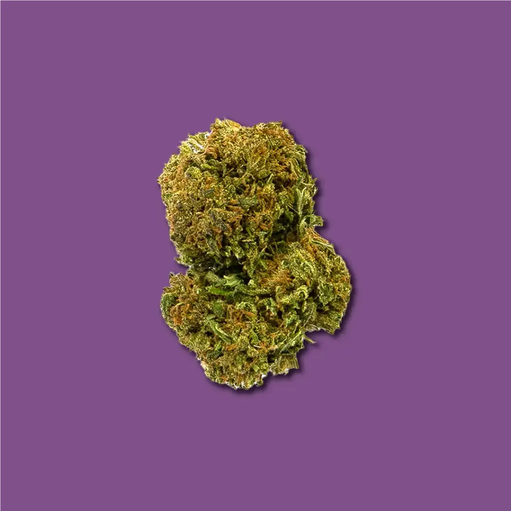 AMNESIA CBD 47 | FLEURS DE CBD EN EXTÉRIEUR 2