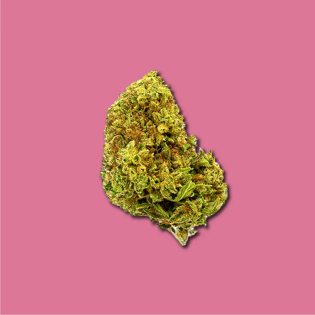CHERRY KUSH CBD | COGOLLOS DE CBD DE EXTERIOR - Los mejores
