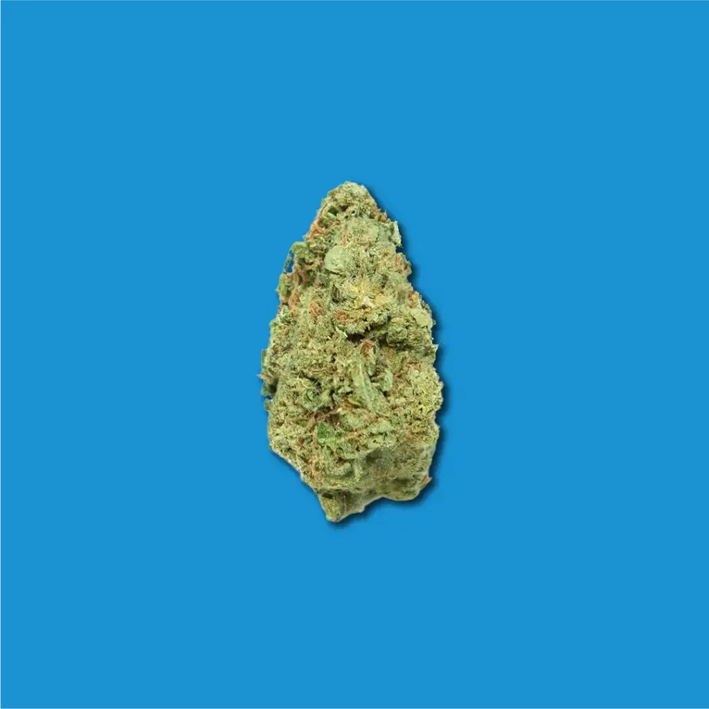 CBD GELATO | CBD GREENHOUSE KNOSPEN 2