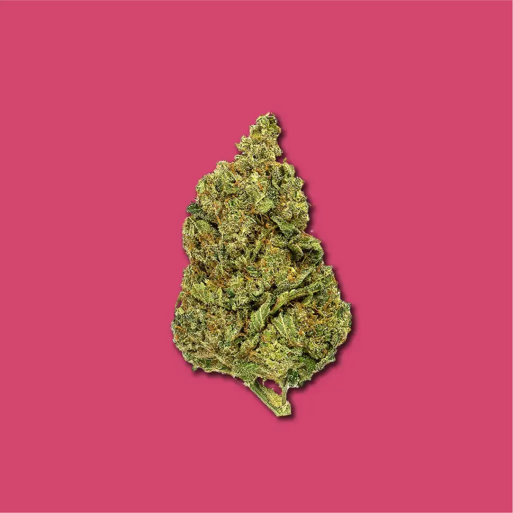 GORILLA GRILLZ BLUMEN | CBD KNOSPEN 2