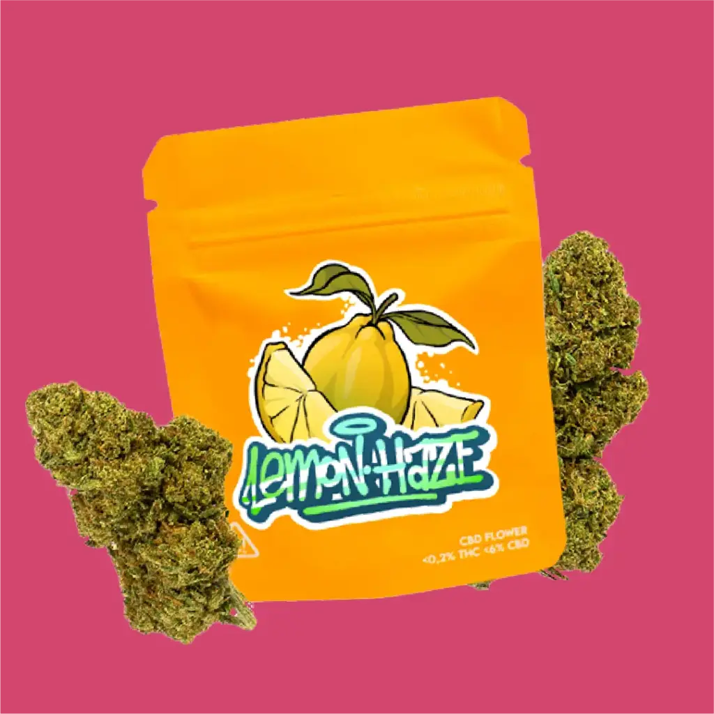LEMON HAZE CBD | FLEURS DE CBD EN EXTÉRIEUR