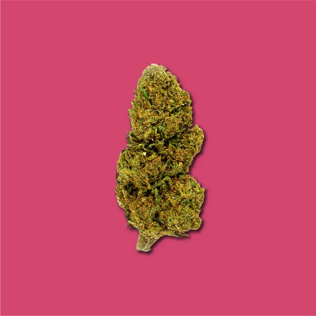 LEMON HAZE CBD | FLEURS DE CBD EN EXTÉRIEUR 2