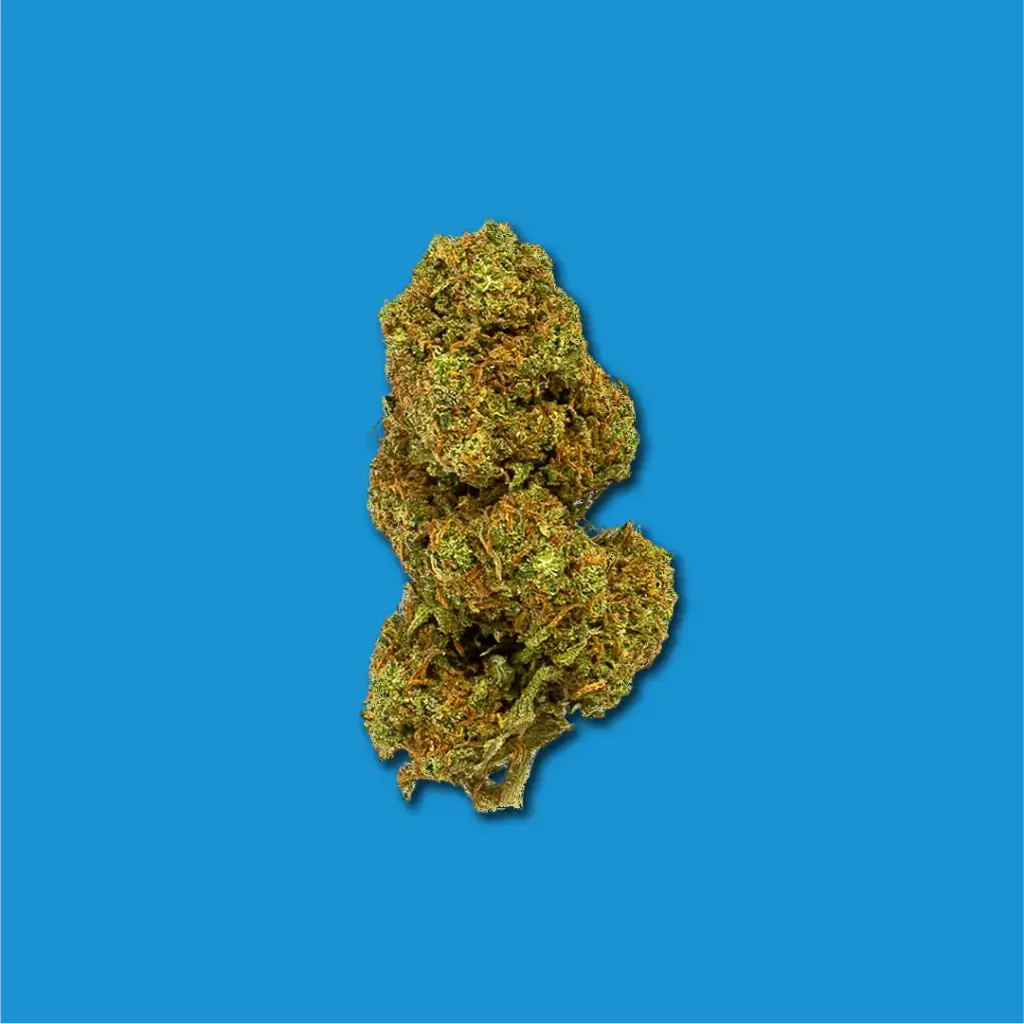 CBD ORANGE CBD | CBD FLEURS EN PLEIN AIR 2