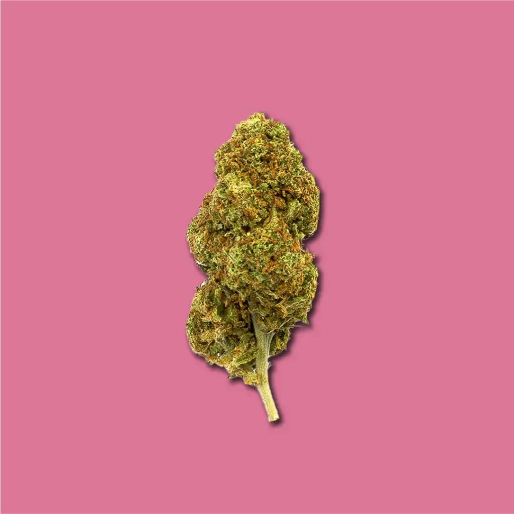 ERDBEERE CBD : CBD BLUMEN IM FREIEN 2
