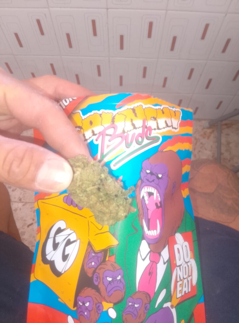 CRUNCHY BUDS CBD BLUE RIOT | FLORES CBD OUTDOOR - reseña de Antonio Fernández