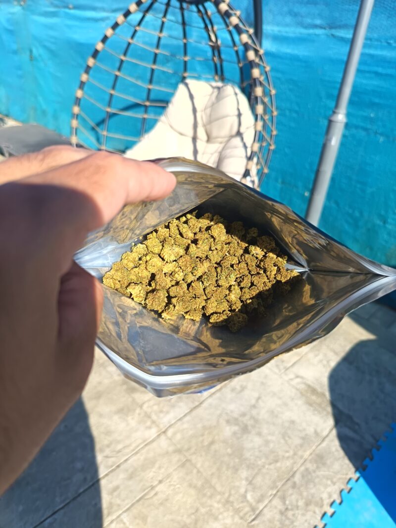 SMALL BUDS | COGOLLOS DE CBD - reseña de Alfredo Salvador