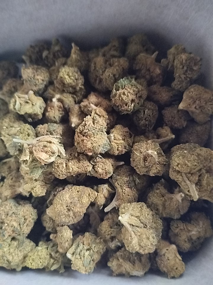 KLEINE KNOSPEN | CBD KNOSPEN - reseña de serbesahumada